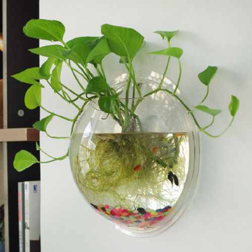 Hanging Glass Flower Pot - gadgetsink