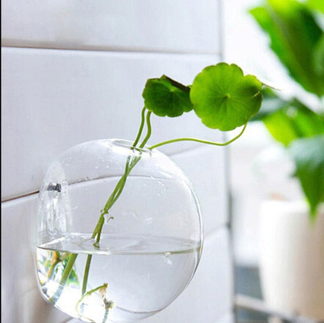 Hanging Glass Flower Pot - gadgetsink