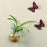 Hanging Glass Flower Pot - gadgetsink